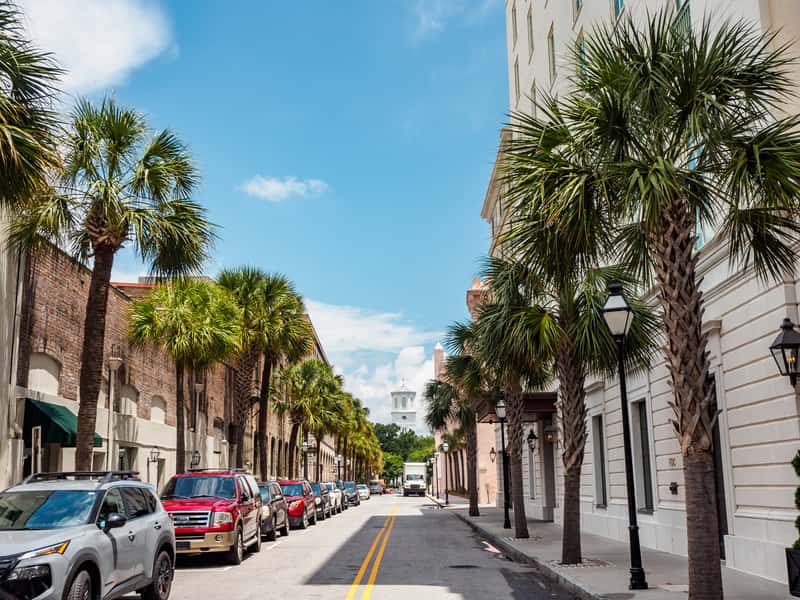 Historic downtown Charleston, SC street lined with palm trees